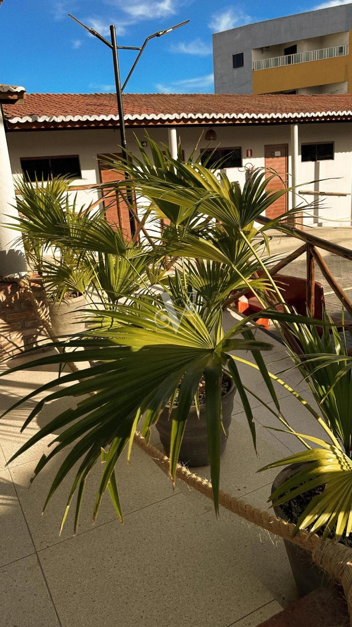 Village Comfort Hotel Canindé de São Francisco Exteriör bild